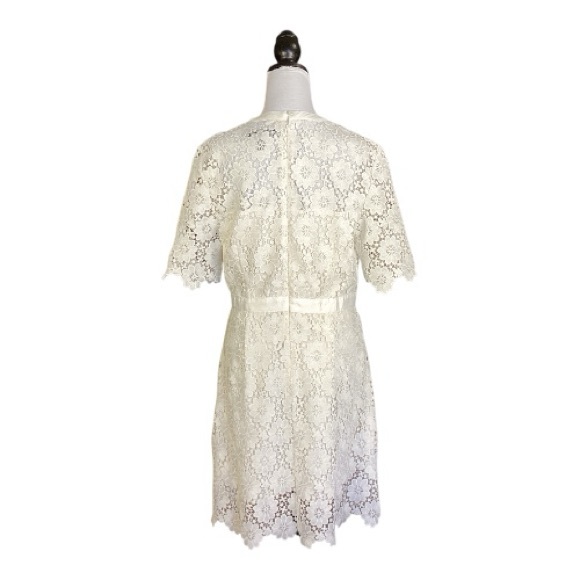 ModCloth White Ivory Floral Lace Short Sleeve Scallop Mini Dress Size 12 - Picture 3 of 9